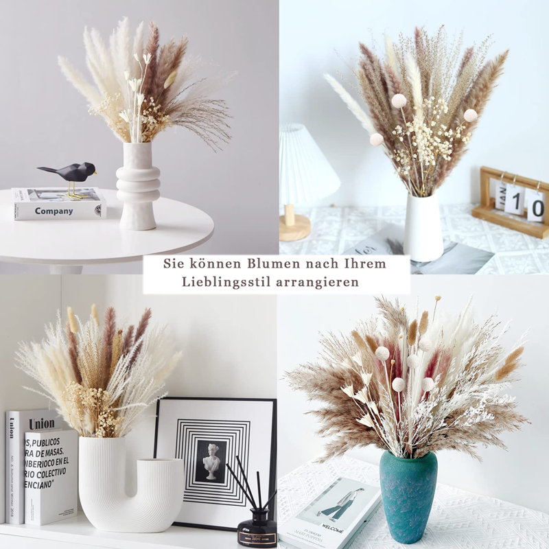 Wym 17cm Pampas Grass Grass