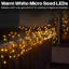 LED Indoor / Outdoor String Lights-1452196803