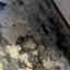 Photos des clients 1 de 1