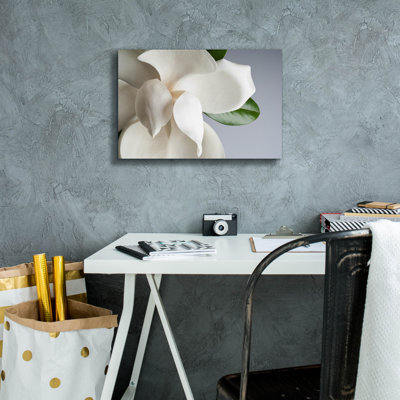 «Magnolia» par PhotoINC Studio