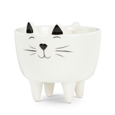 Ceramic Pot Planter
