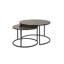 Asher Nesting Coffee Table