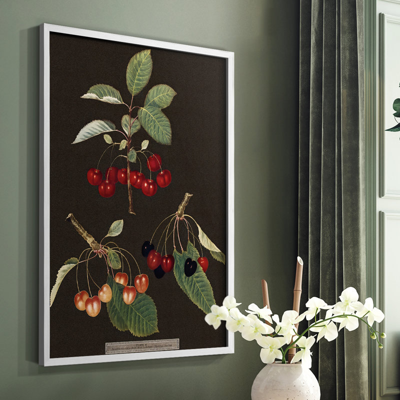 Brookshaw Cherries Framed Print - Solid Wood, 28" H x 22" W, White