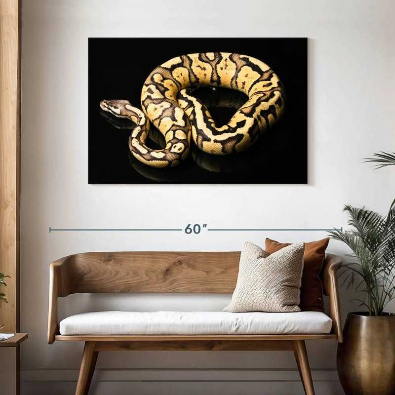 Python femelle Brampt