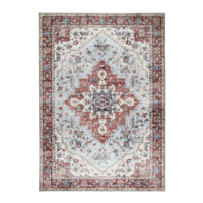 Anysia Area Rug