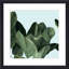 Celadon Palms I by Emma Scarvey-1024856142-1002240014