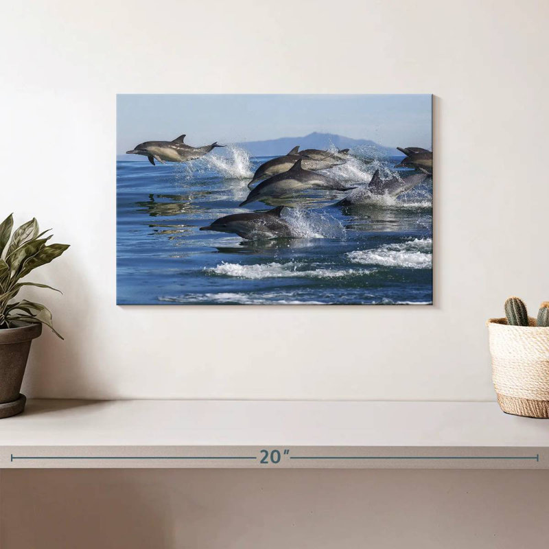 Crowle Dolphin Pod, H 8 po x l 12 po