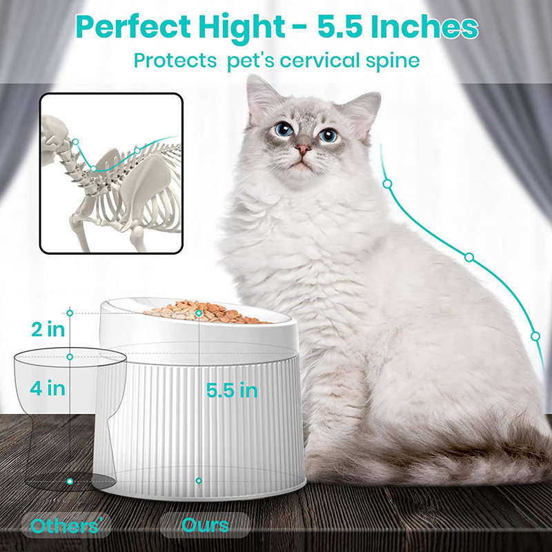 Elevated White Melamine Cat Food Bowl with Stand