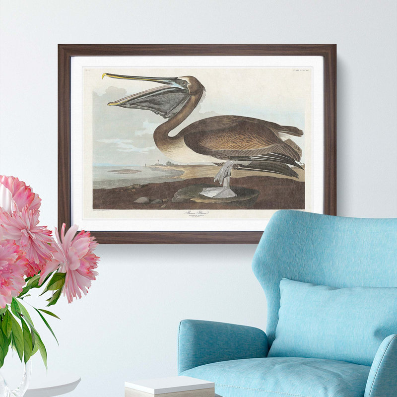 A Brown Pelican by John Audubon - Single Picture Frame Painting, 24cm H x 33cm W x 2cm D, Walnut Framed