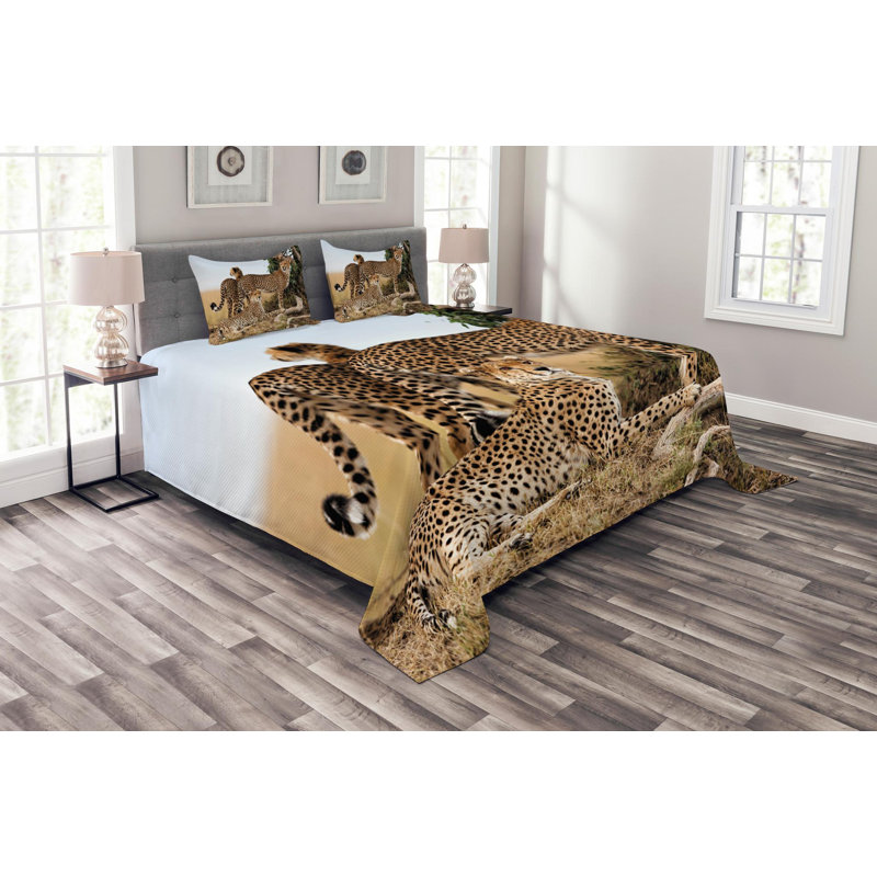 Eclectic Polyester Coverlet, Queen Coverlet + 2 Shams