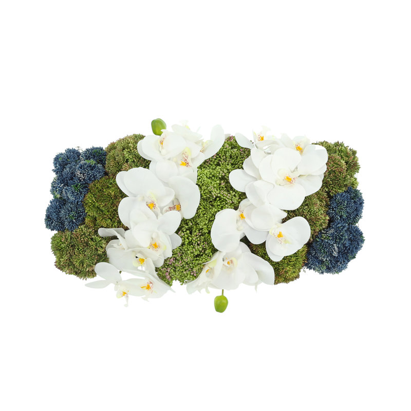 Orchids and Assorted Sedum in Fiberstone Planter, White/Green