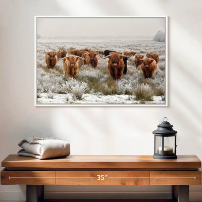 Winter Highland Cows