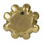 Plaque murale succulente