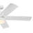 52'' Ceiling Fan with LED Lights-442598552