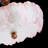 15.74" In. 5 - Light Dimmable Petal Glass Drum Semi Flush Mount Ceiling Light