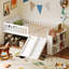 Bed Frame With Storage Shelf, Wooden Bed With Slide And Ladder, Guardrail-376879388
