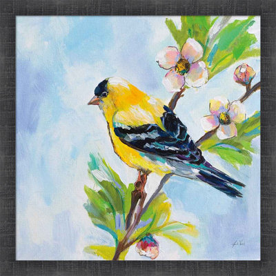 " Golden Finch " by Jeanette Vertentes