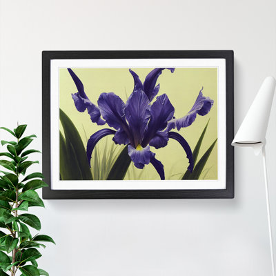 Cute Iris Flowers - Framed Print
