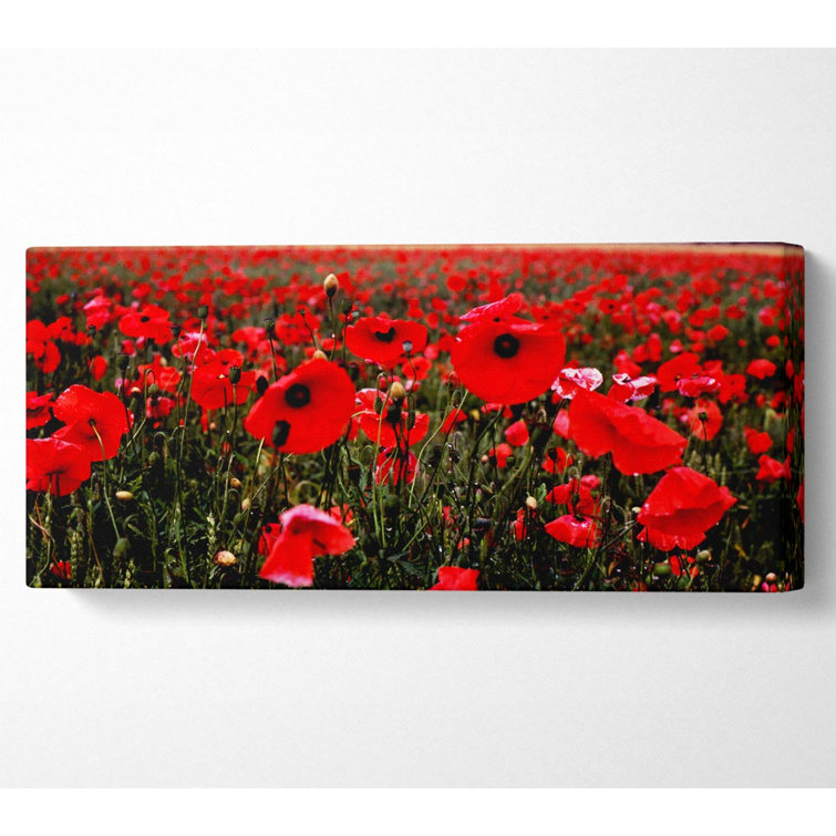 Ebern Designs Red Poppy Field Hills - Wrapped Canvas Panoramic Art ...