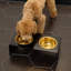 Mangeoire pour animaux Keaton-99366361-99366362