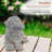 Ariyanna Dog Stone Garden Statue