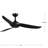 Conte 52'' Ceiling Fan with LED Lights-779018497-779018750