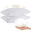 Coussin Akaki Feathers (ensemble de 2)-2109718640