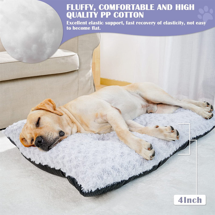 https://assets.wfcdn.com/im/21086983/resize-h755-w755%5Ecompr-r85/2597/259761705/Extra+Large+Washable+Dog+Bed+Deluxe+Fluffy+Plush+Dog+Crate+Pad%2CDog+Beds+Made+For+Large%2C+Medium%2C+Small+Dogs+And+Cats%2C+Anti-Slip+Dog+Crate+Bed+For+Sleeping+And+Anti+Anxiety%2C+38%22X25%22%2C+Gray.jpg