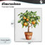 Giclée encadrée d'arbre d'orange en pot, design par Shelly Craig-1783735580-1783735584