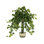 Jenner Faux Ivy Plant in Glass Vase