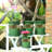 5pcs Gallon Durable Nursery Pot