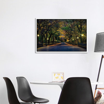 Central Park Magic by David Gardiner - Print on Canvas