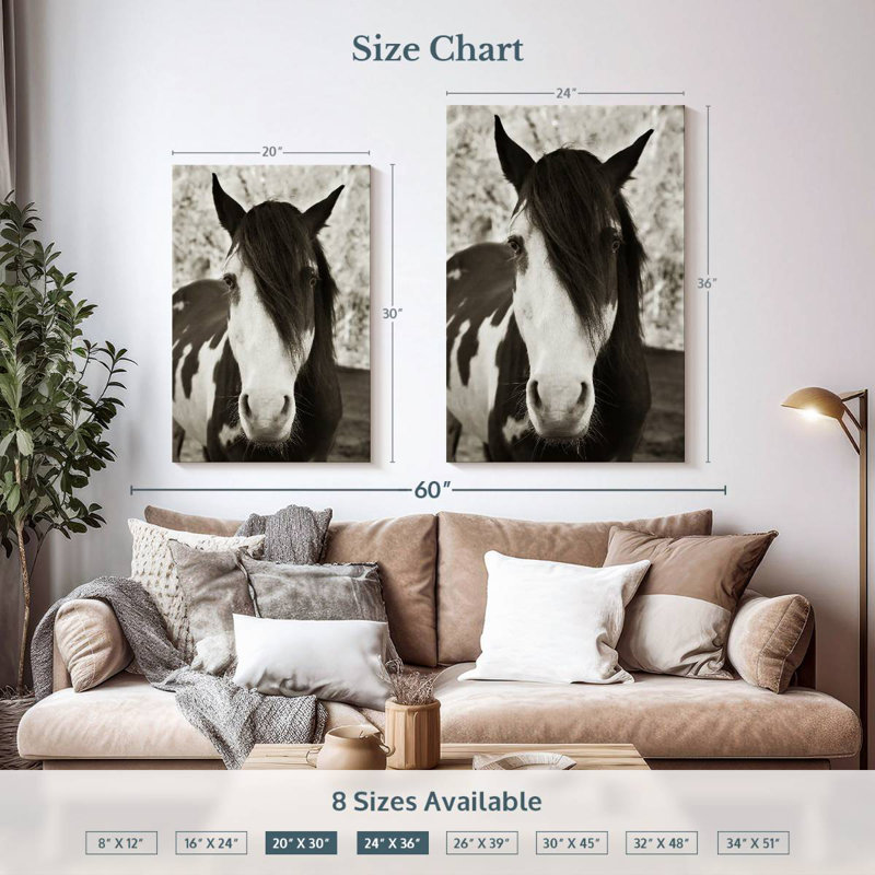 Brampt Pale Eyed Stallion, 36" H x 24" W