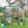 6.17' W x 8.17' D Heavy Duty Greenhouse