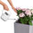 Lechuza Planter Canto Color Square 40 All-In-One-45837995