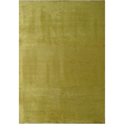 Minimalist Solid Color