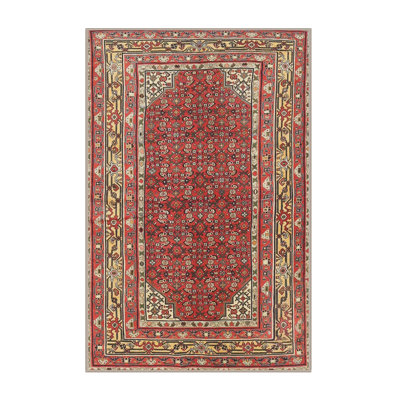 Oriental Indoor Rug