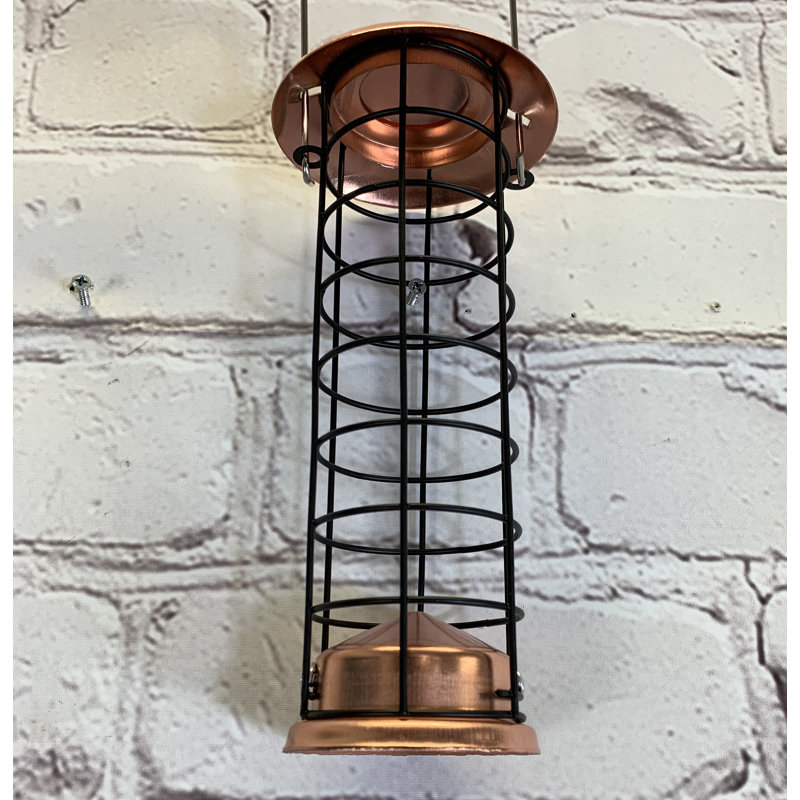 Fasching Suet Bird Feeder