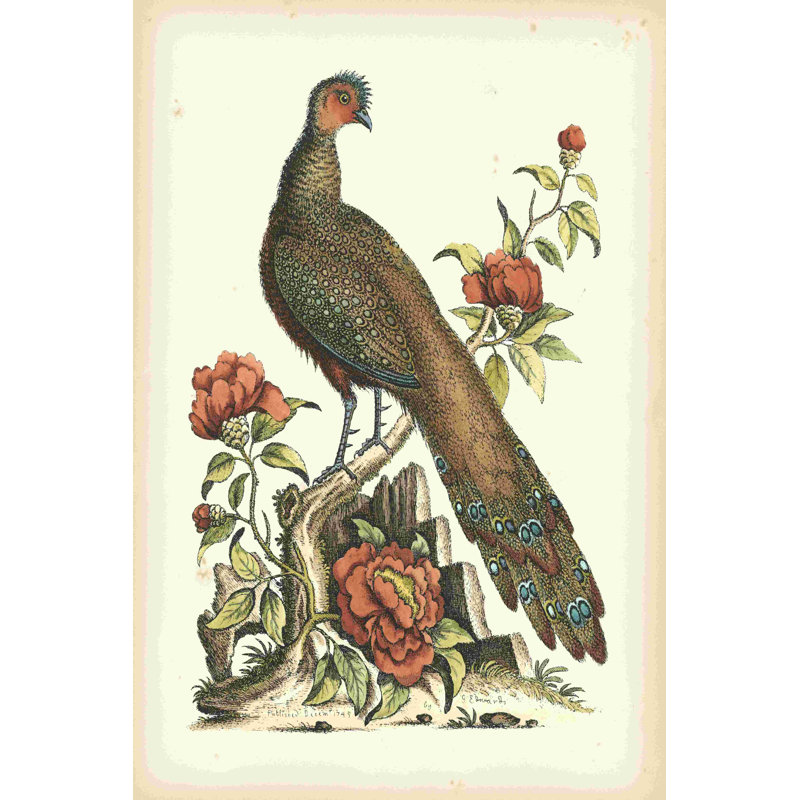 Faisans majestueux III 2855024, H 12 po x l 8 po