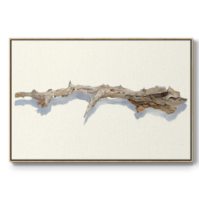 " Driftwood Study I "