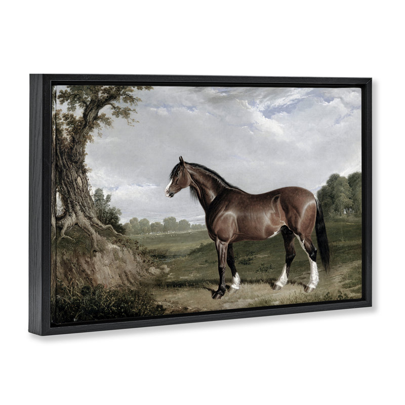 Cadre flottant Majestic Equine Nature Portrait, design par Corinne Haig, H 21 po x l 31 po, Cadre flottant noir de jais