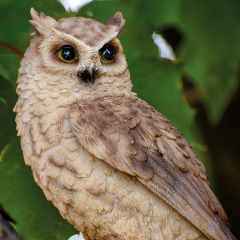 Small Brown Polyresin Screech Owl on Stump Statue
