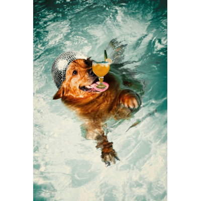 Chien disco 24 x 36