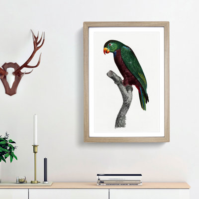 Red-Billed Parrot by F. Levaillant - Picture Frame Painting Print