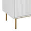 Ajasia 2 -Door Rectangle Accent Cabinet-891591235