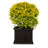 Barros Outdoor Wood Planter Box-1982443288