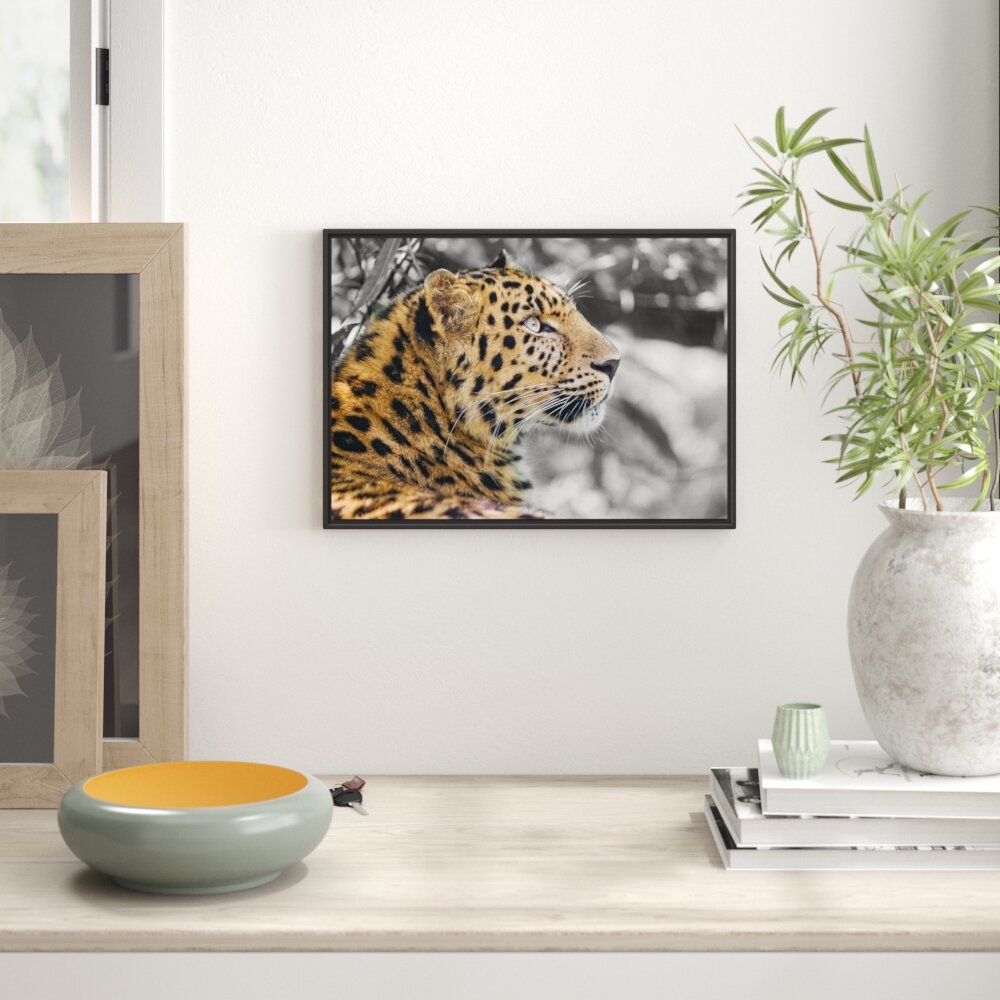 Gerahmtes Wandbild Leopard ruhtSchatten