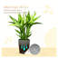 Ensemble de pots à fleurs empilables 3 pièces Chic Planters