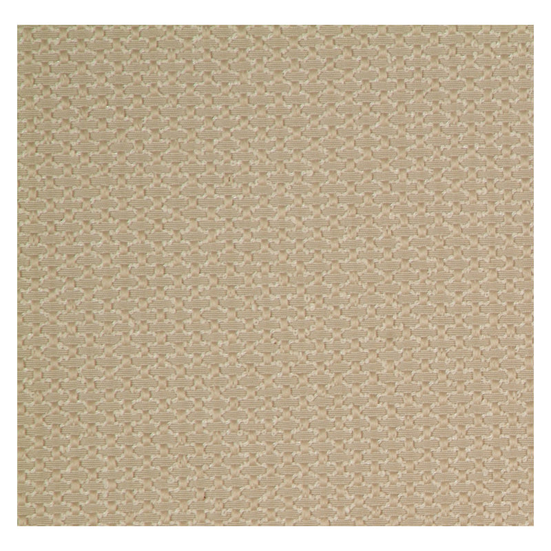 Allure Fabric