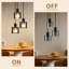 3 - Light Black Cluster Pendant
